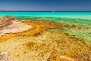 formentera-luke-fox-101