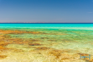 formentera-luke-fox-110