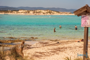 formentera-luke-fox-52