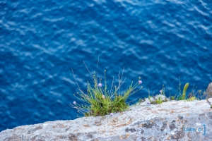 formentera-luke-fox-68