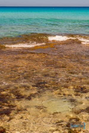 formentera-luke-fox-87