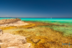 formentera-luke-fox-99